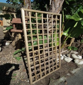 2 Budget Trellis         