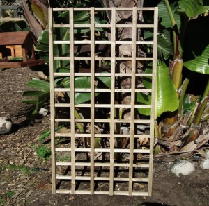 Budget Trellis         