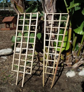 More trellis         